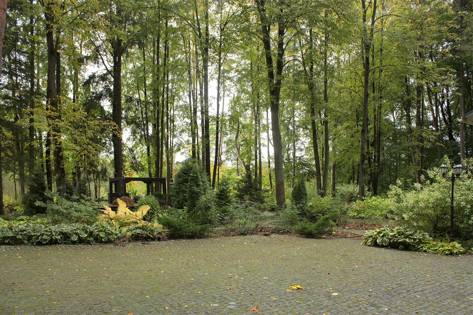 Ландшафтный проект лесного участка.