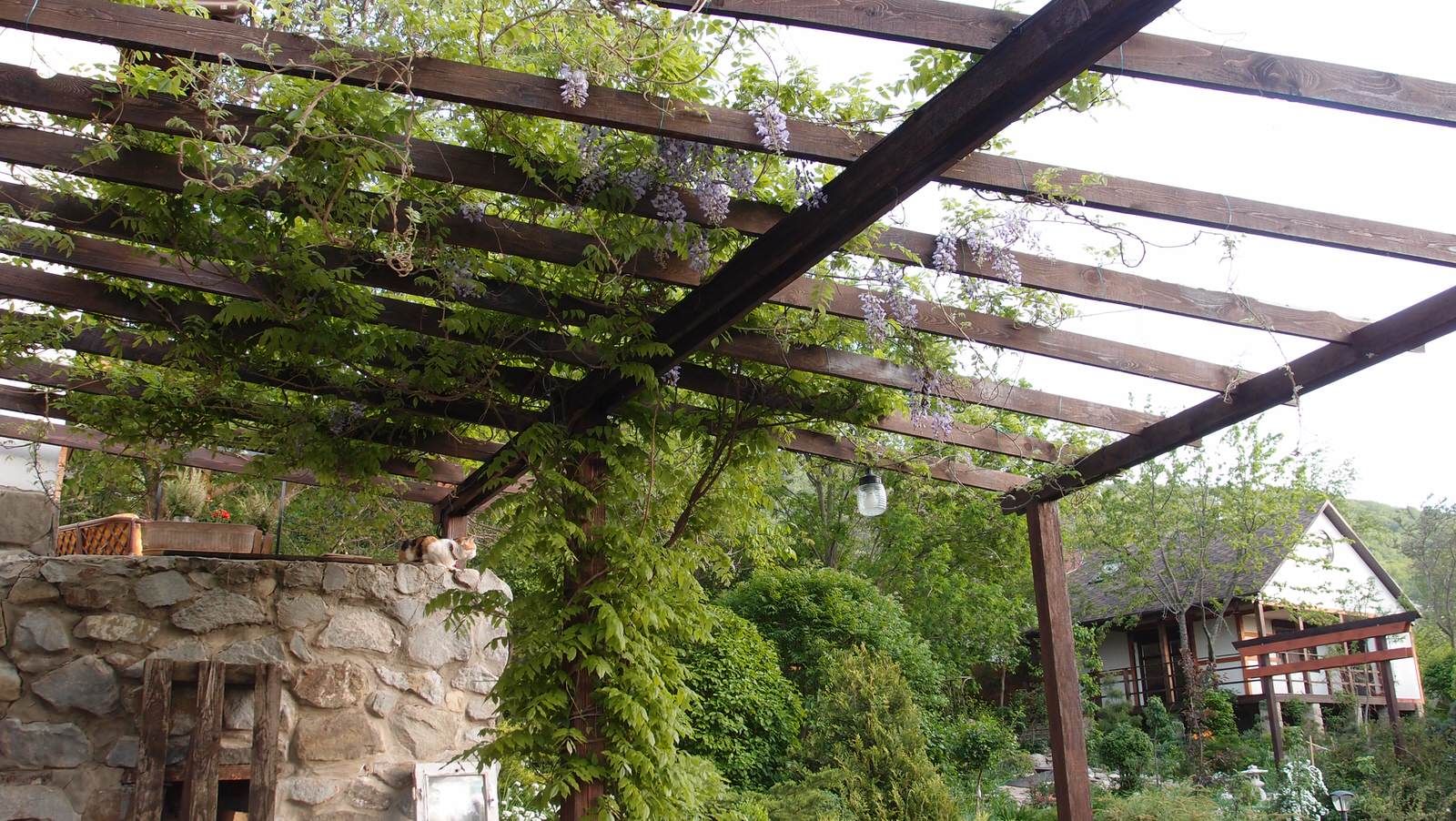 Они сошлись Восток и Запад