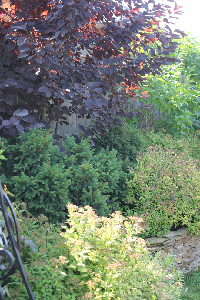 В гостях у Сказки