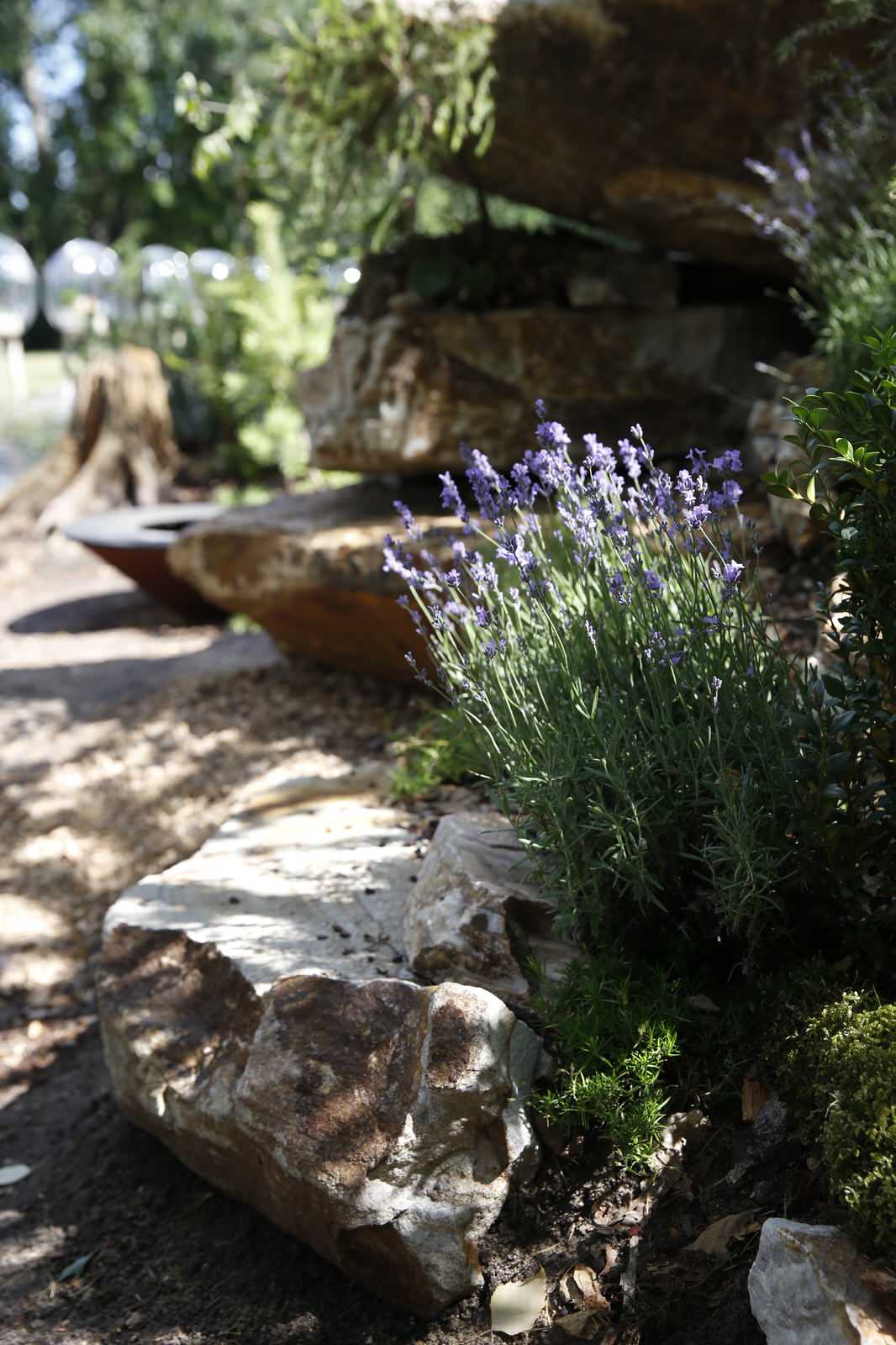 Сад Прометей - Сад, пробуждающий чувства -  The Garden that awakens feelings