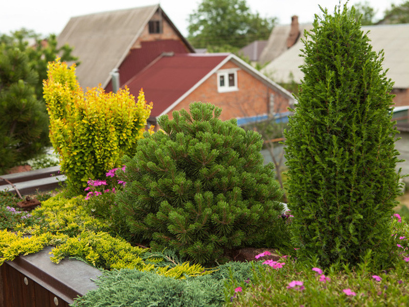 Частное домовладение с контейнерным озеленением крыши.