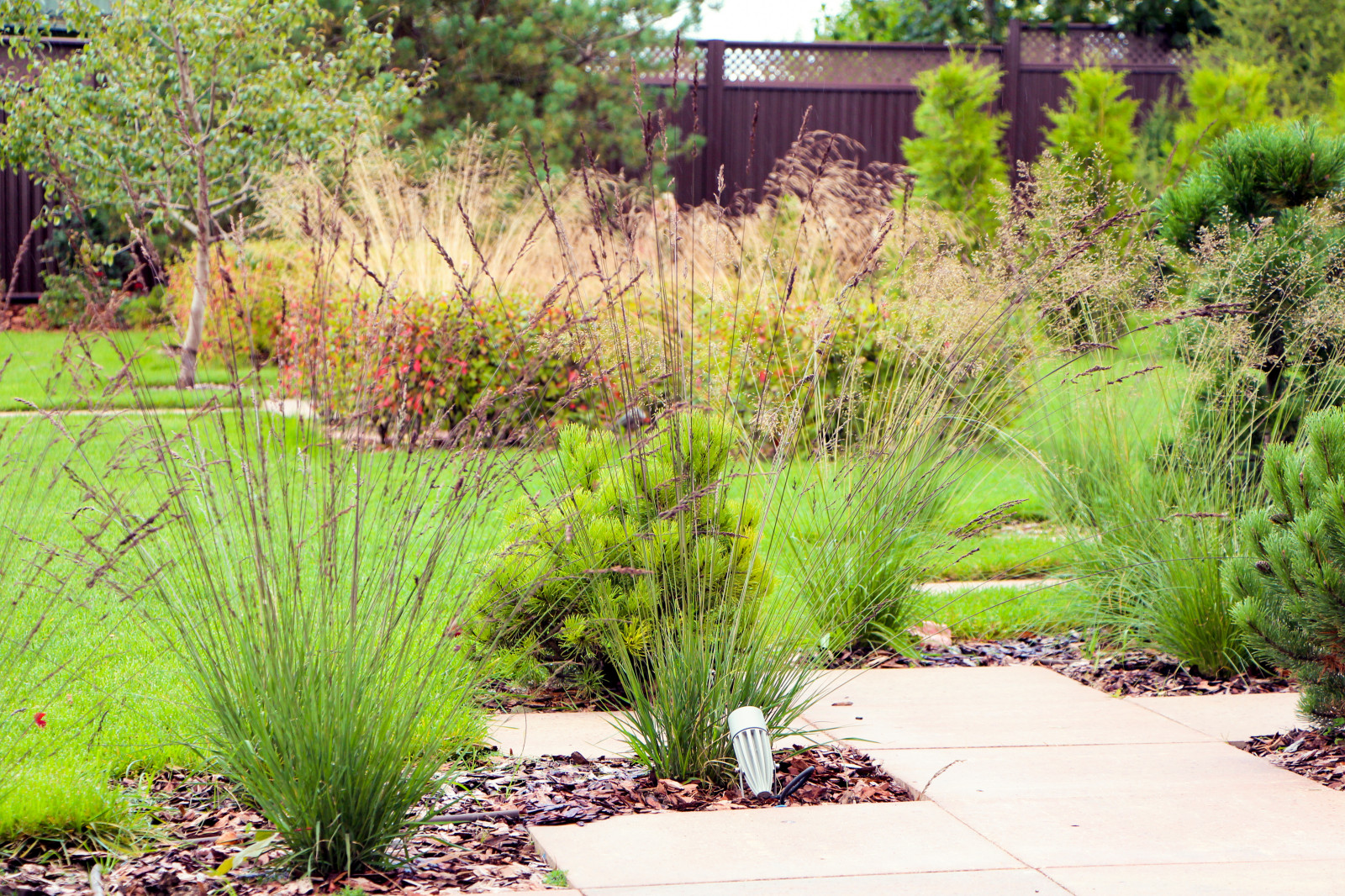 Петровское, 2018-2020 гг.