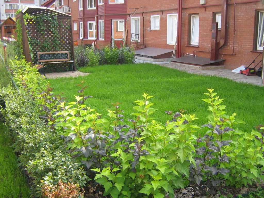 Обложка альбома: Идеи пользователя webuser_410177729