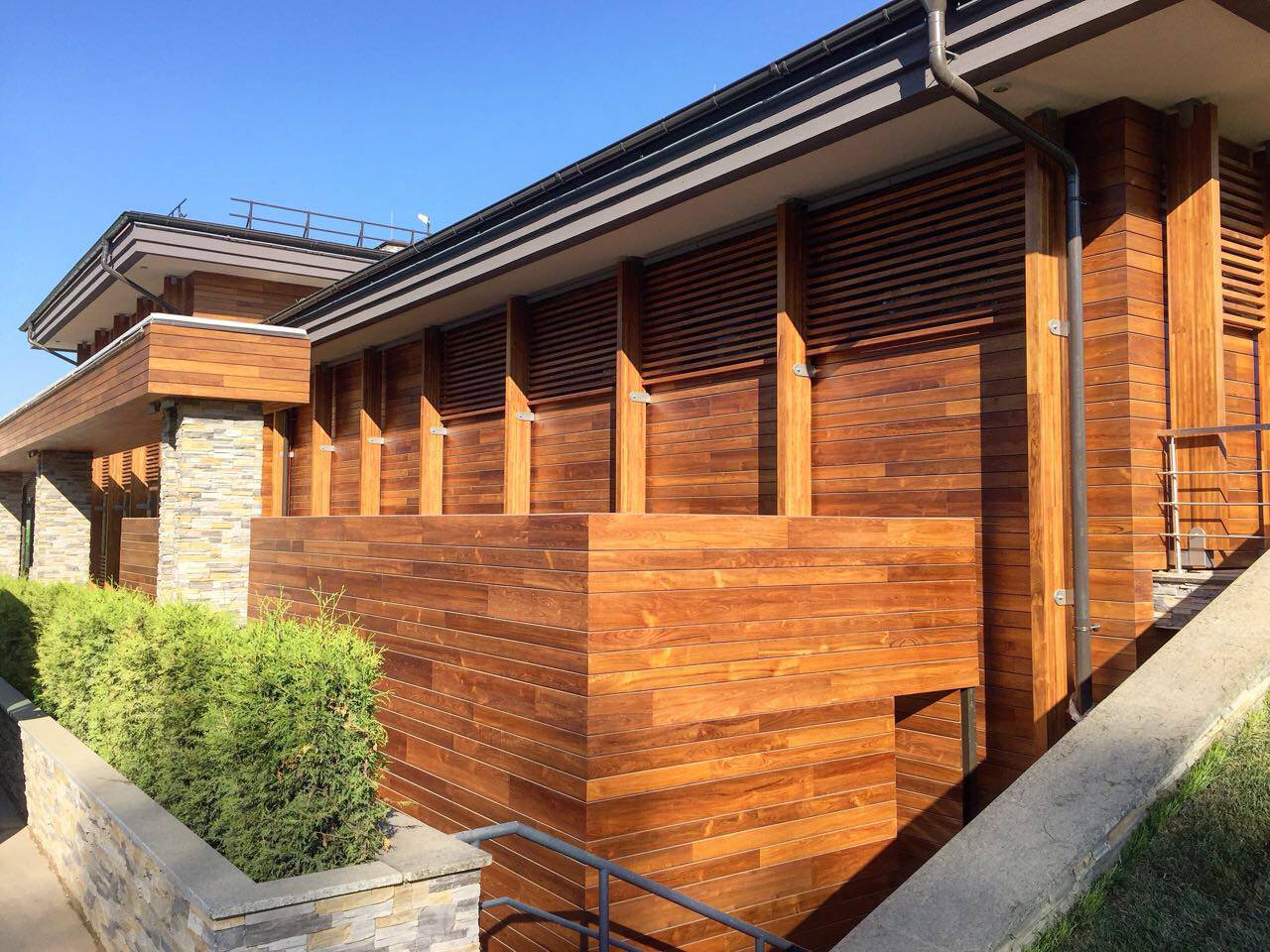 Наталья Лиходей