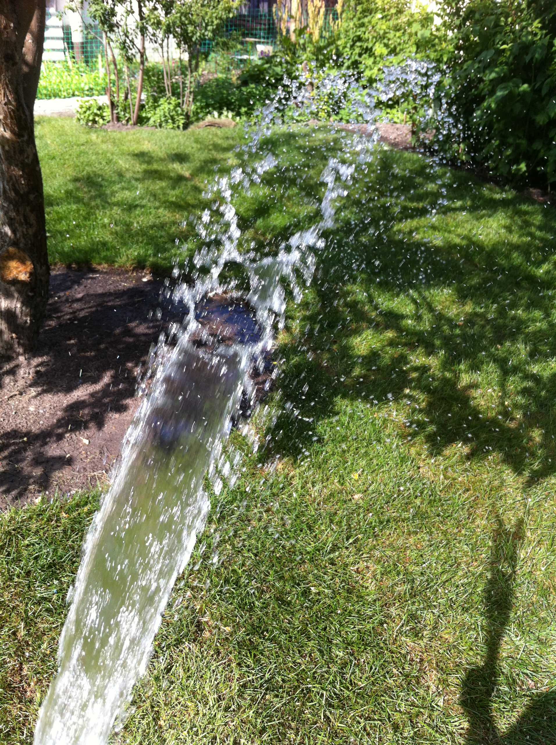 Рулонный газон: Лужайка, которую можно взять с собой