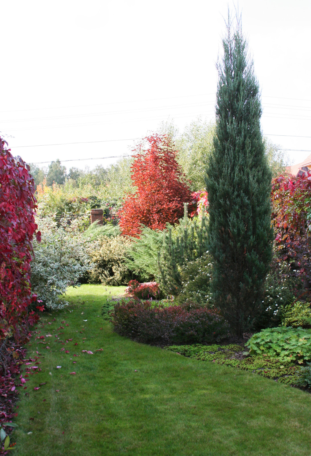 Романцево осень