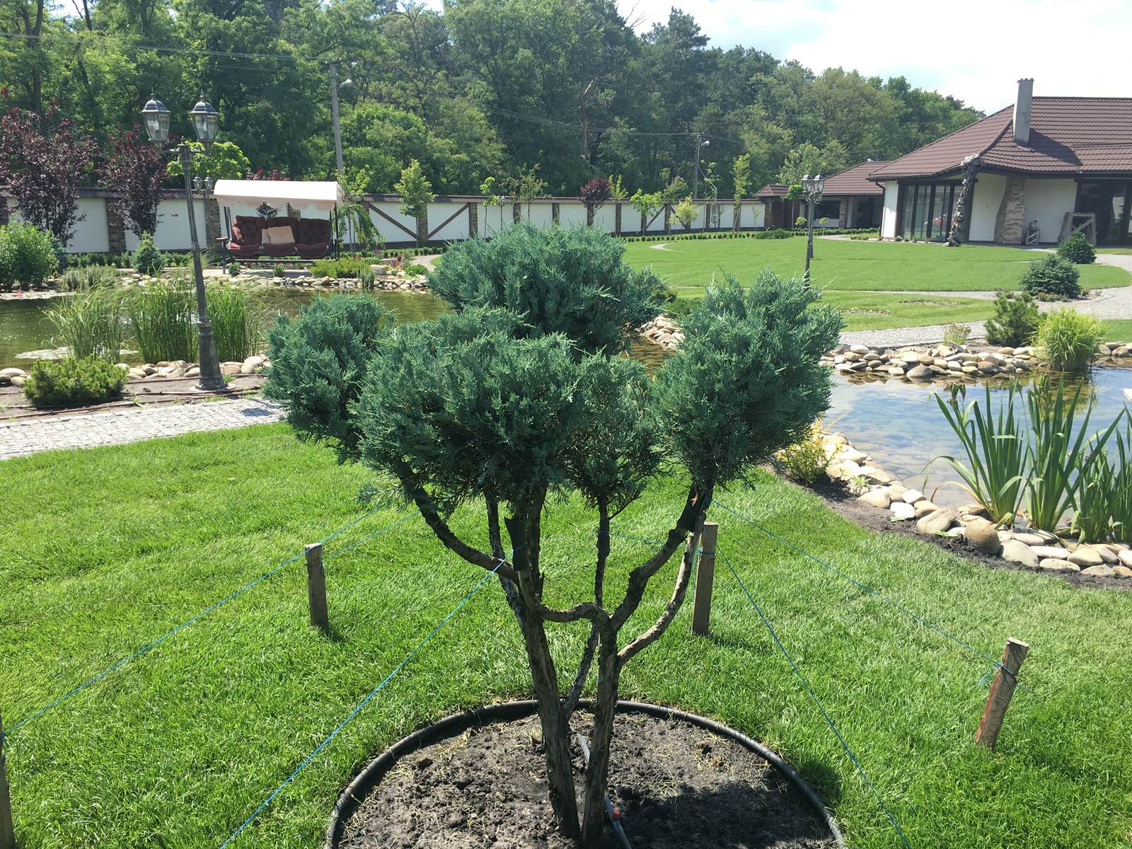 проект частного участка. Калужская область