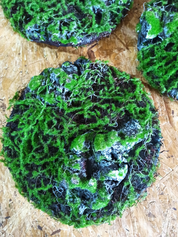 Круглые панно для гостевого дома