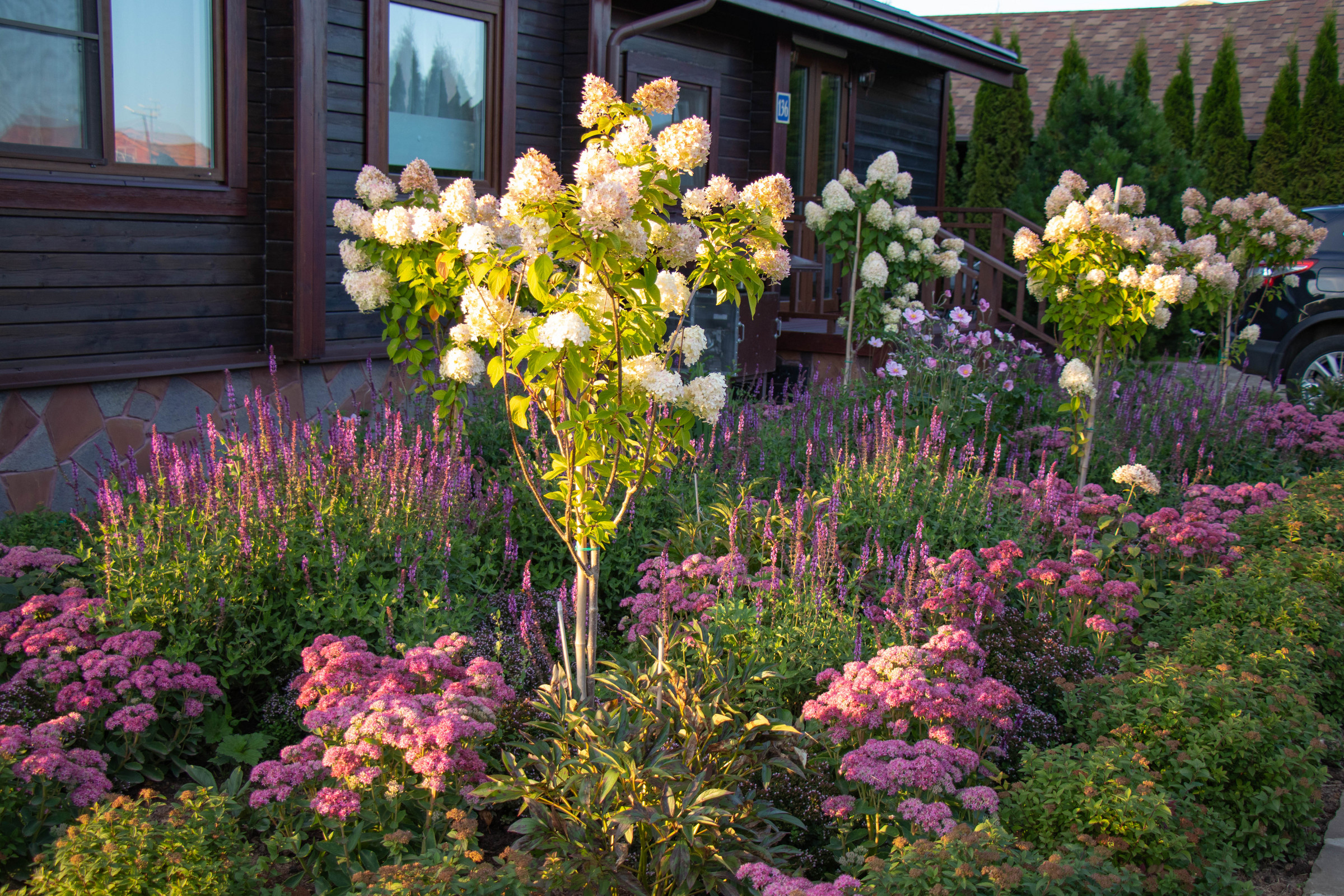 Сосновые берега