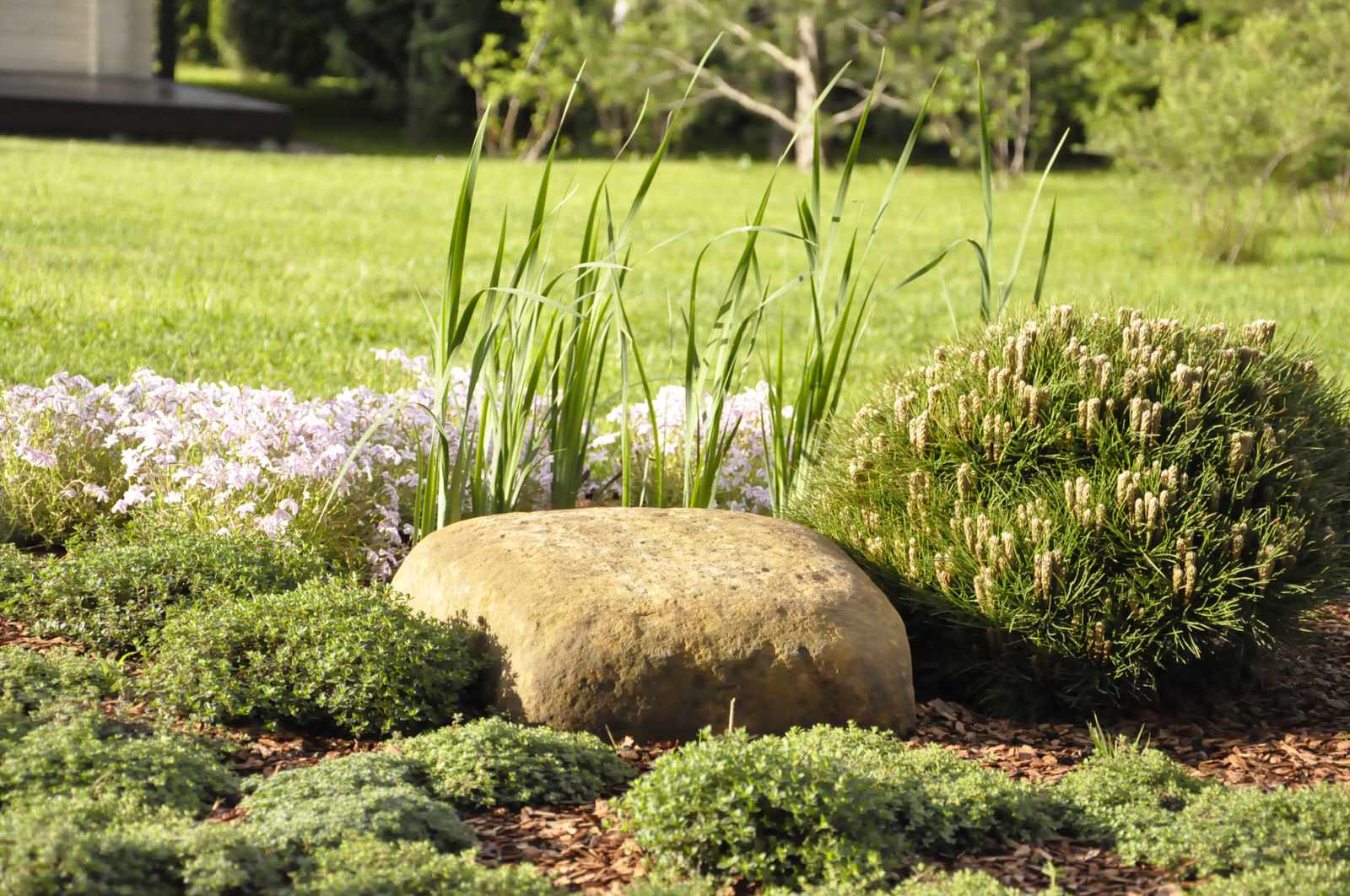 кп "Папушево" - Профессиональный уход за садом - 100% качество!