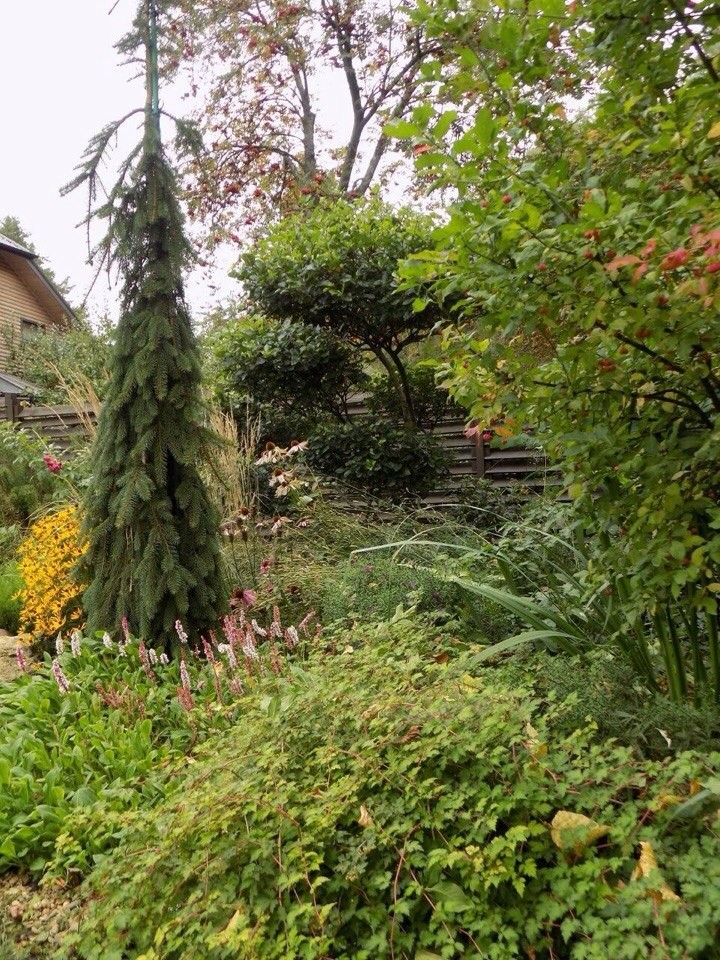 Озеленение, ландшафтный дизайн