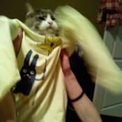 Йежиг Петручев