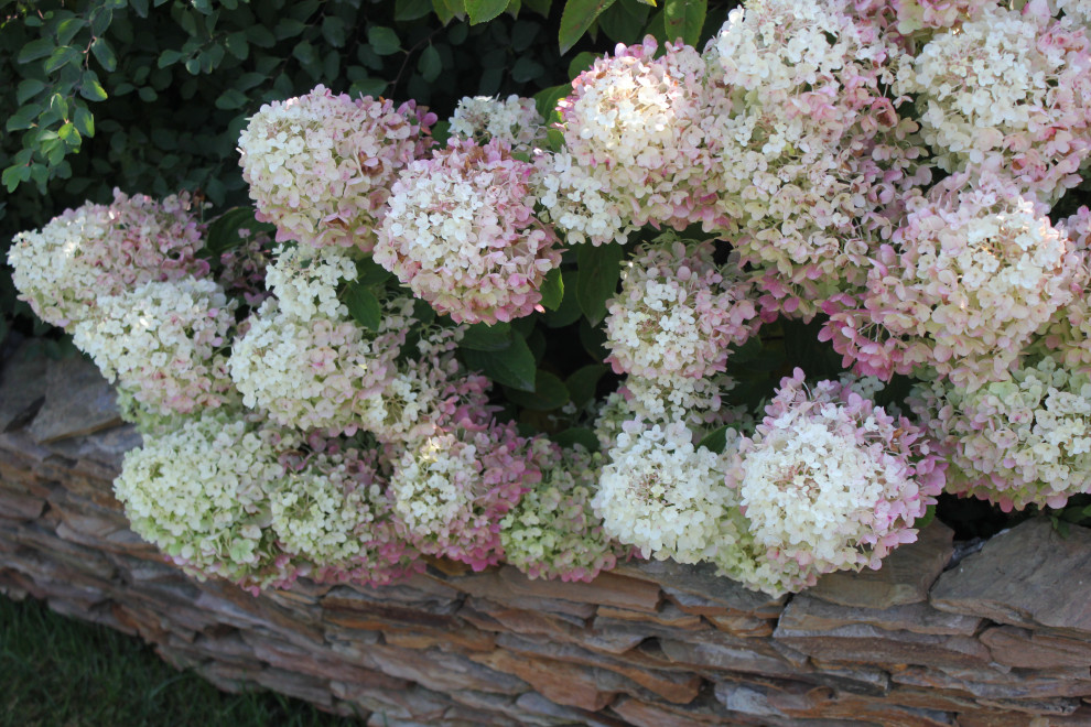 В гостях у Сказки