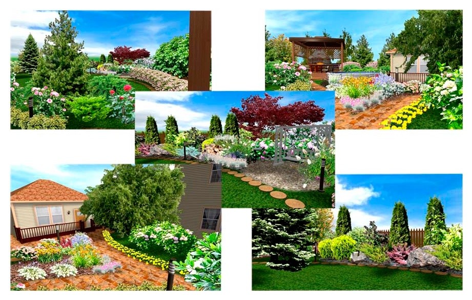 Обложка проекта: Красные Орлы