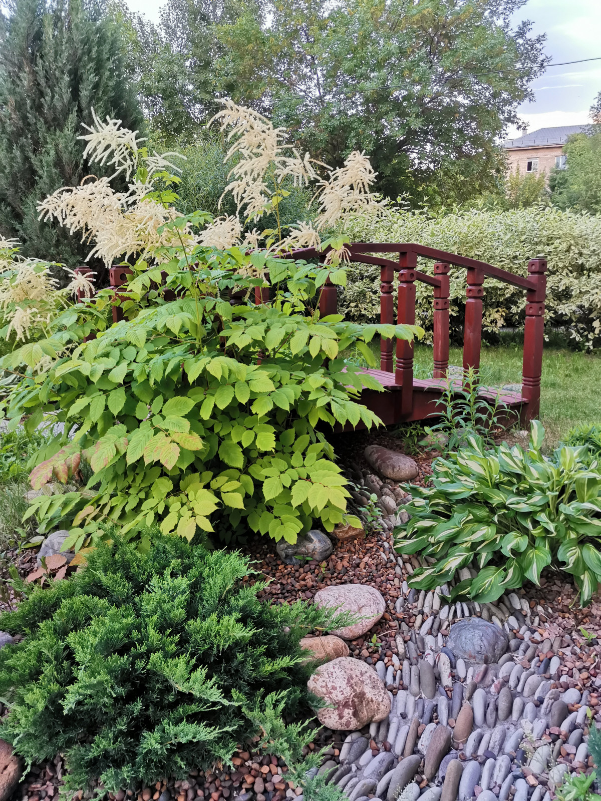 Самара ЛАП №135