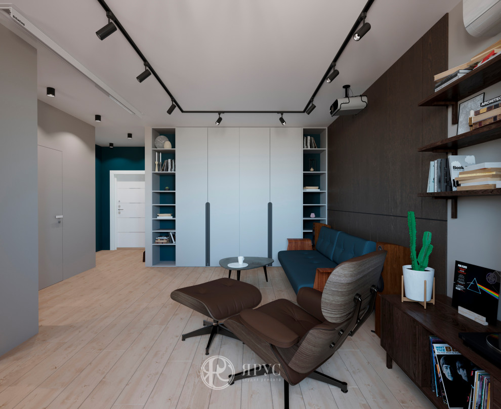 Однокомнатная квартира в современном стиле