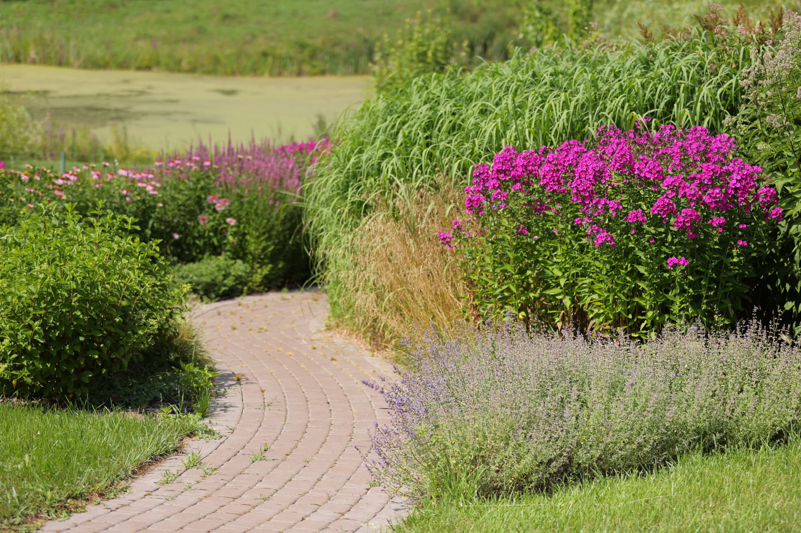 В гостях: Переделка природного сада у каскада прудов