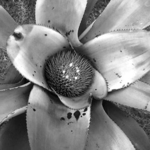 Тамара Андрюкова