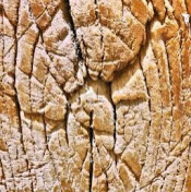 Виктор Бывшев