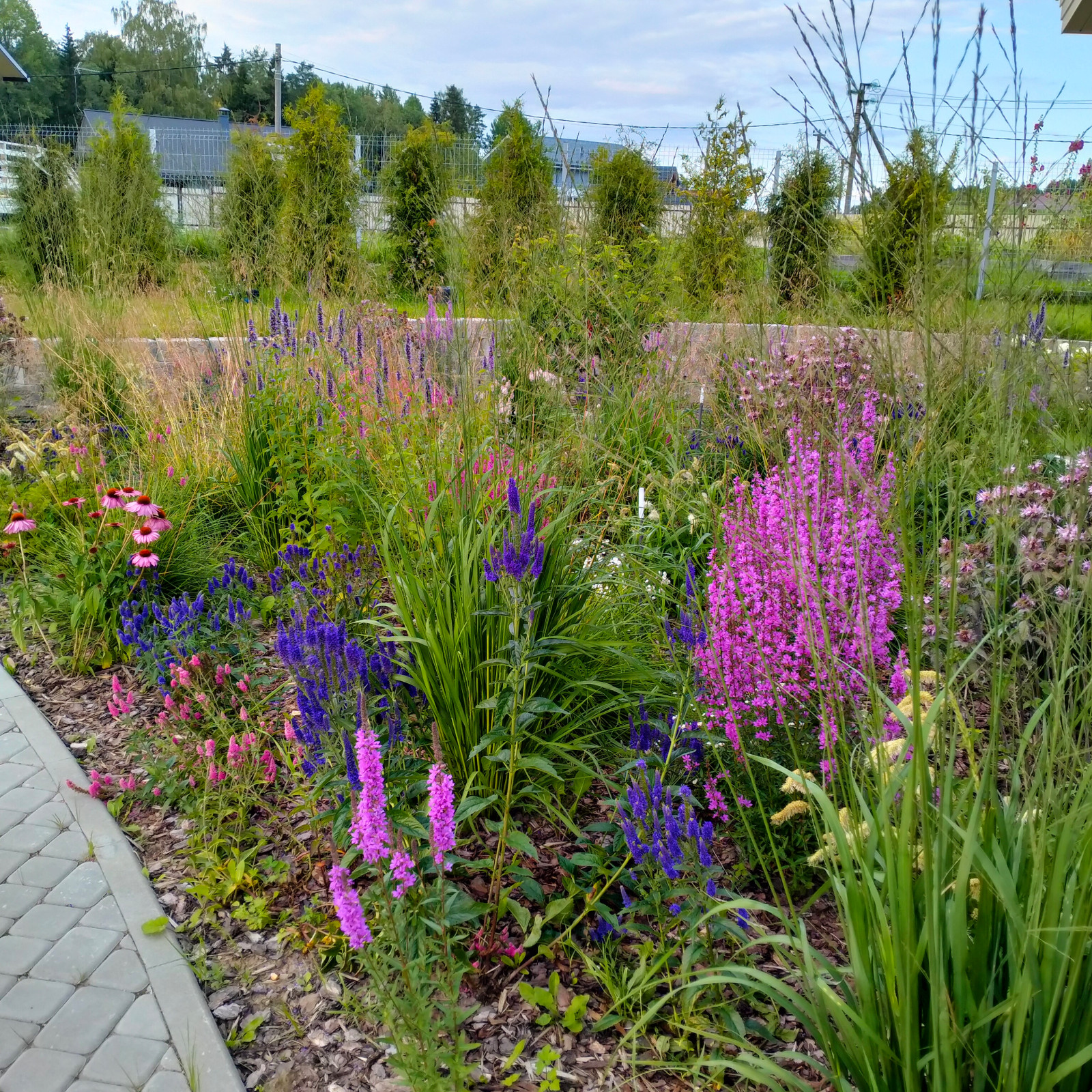 Обложка проекта: Участок 20 соток