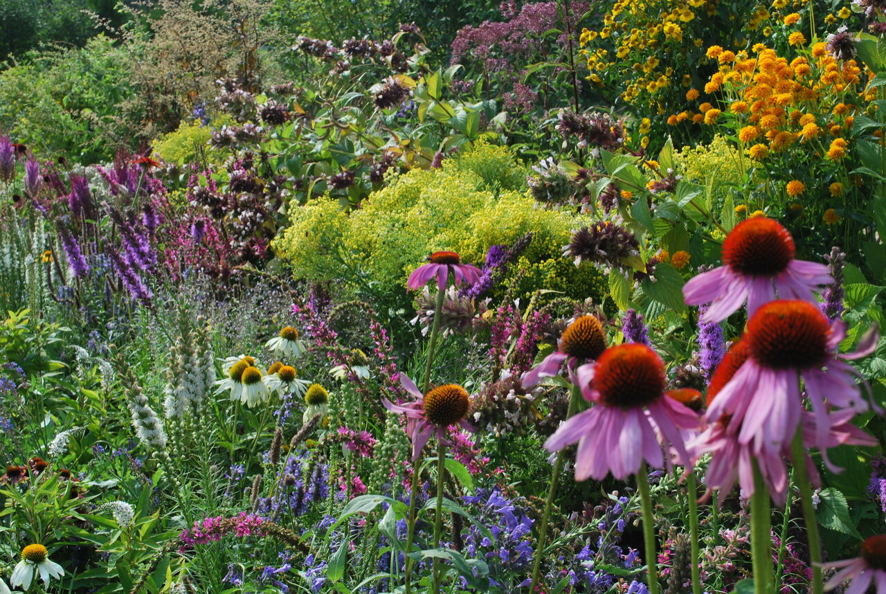 Сад натуралистического стиля