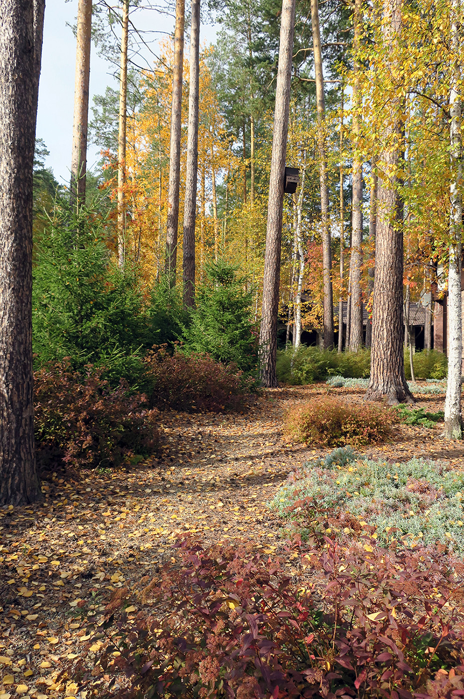 Не нужно бояться темноты