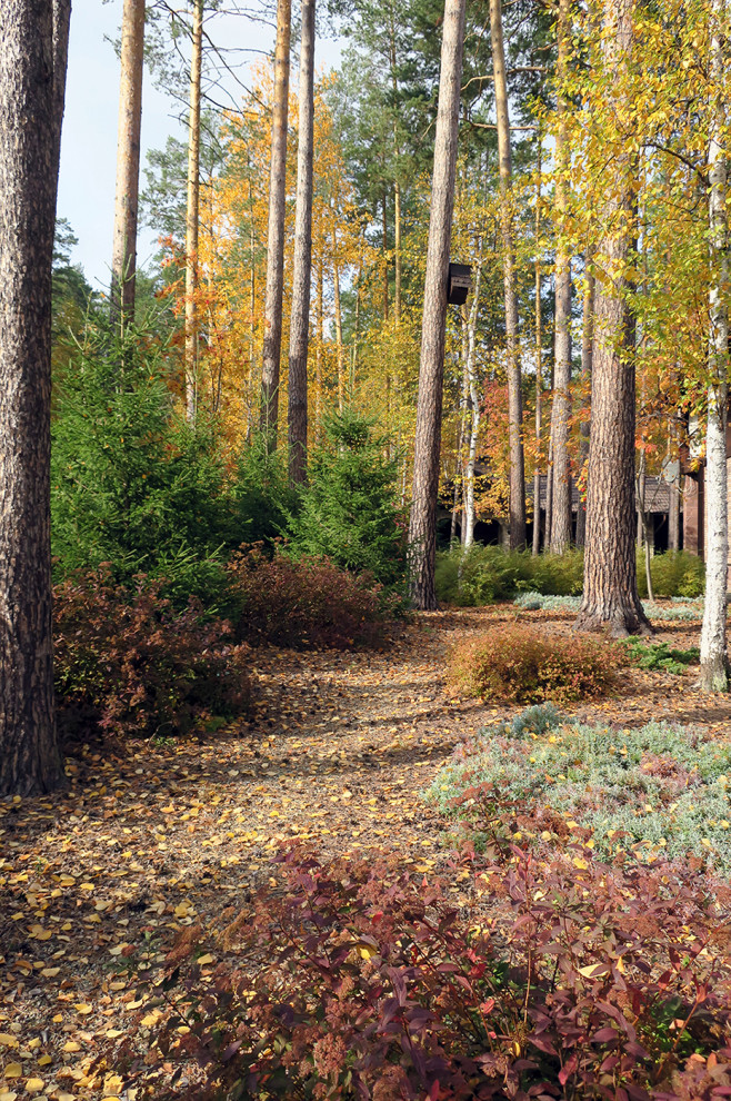 Не нужно бояться темноты
