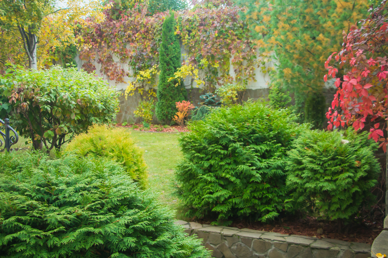 Чебоксары 1