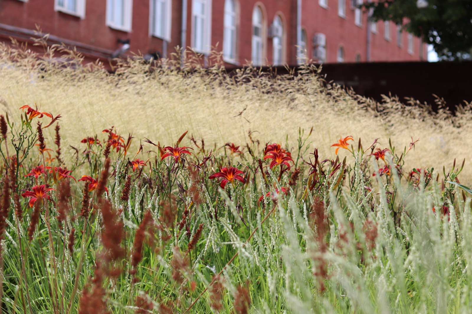 Цветник у памятника А.П.Платонову