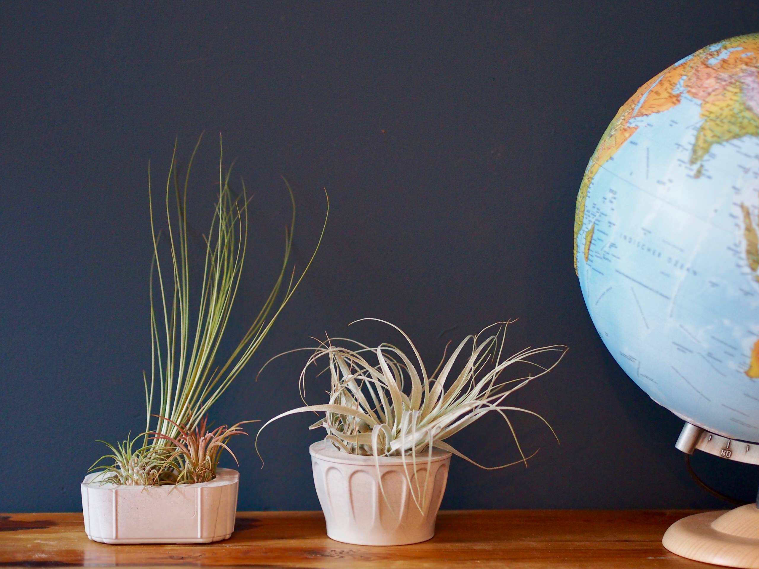 Своими руками: Как сделать кашпо из бетона