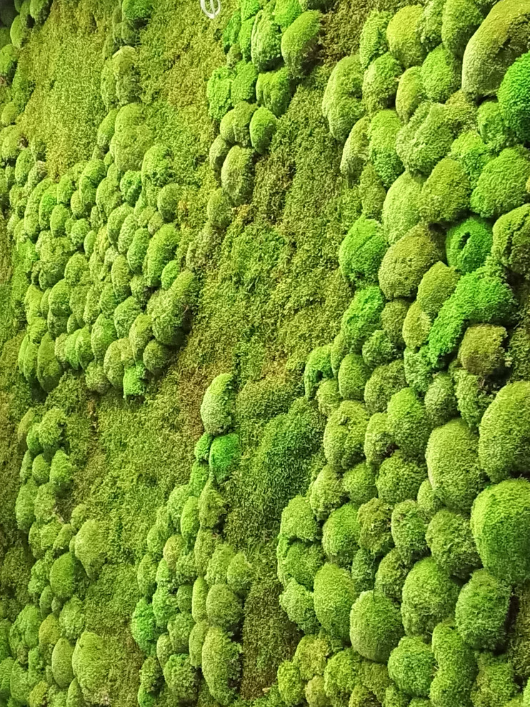 Тюмень. Комарово