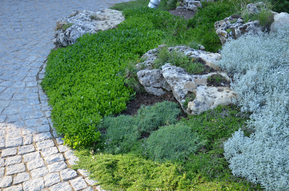 Итальянский сад в КП Европа 2013 г