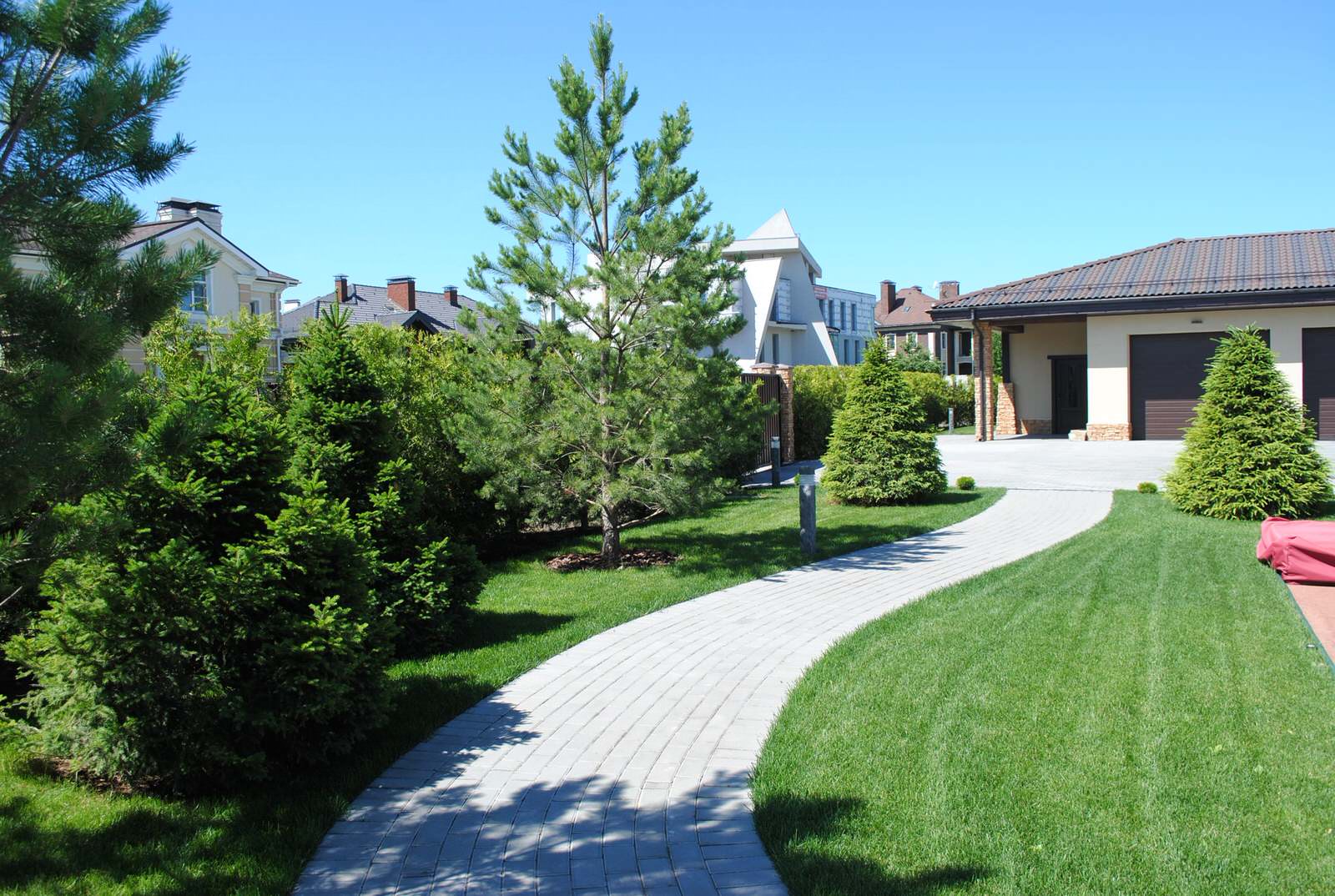 Сад с хвойными растениями