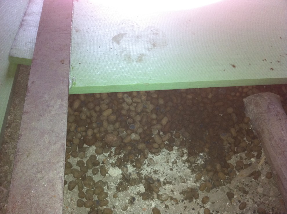 Квартира на Патриарших