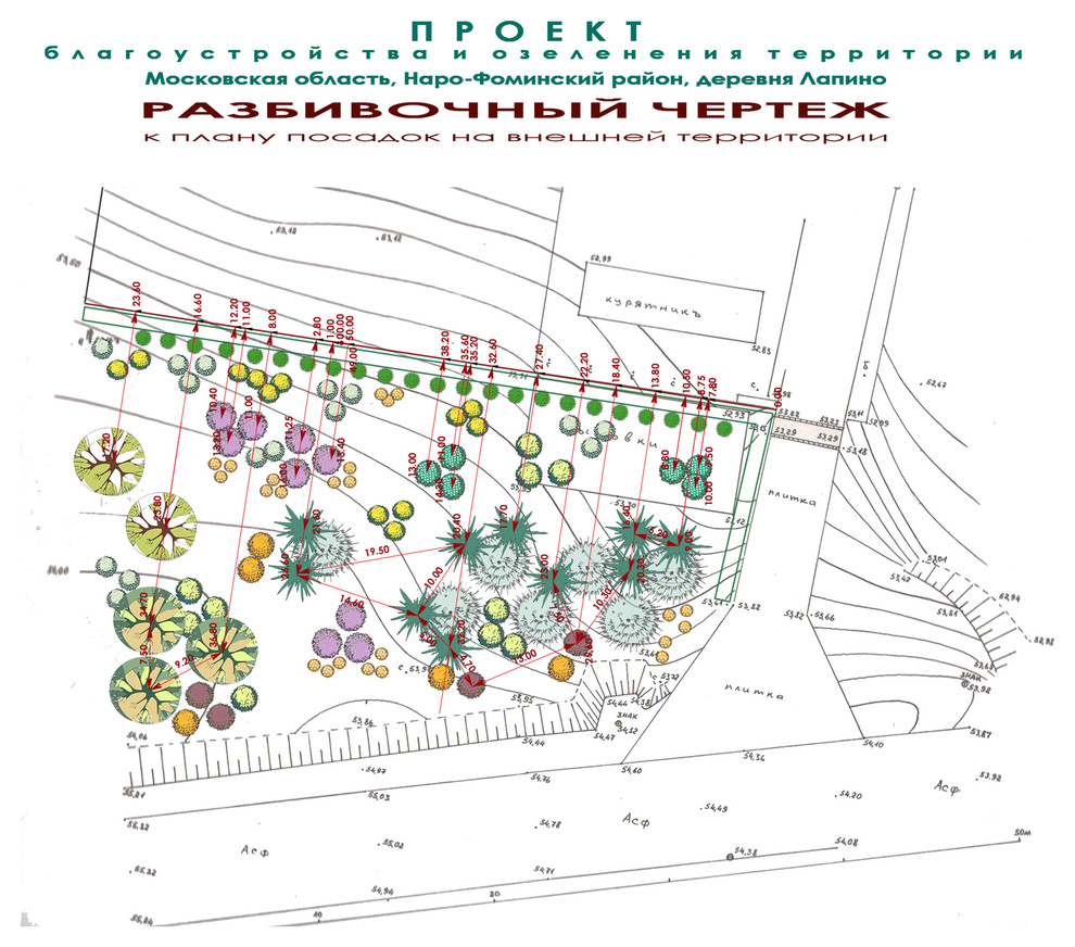 Проект участка - ПЛАН озеленения внешней территории - посадочный чертеж.