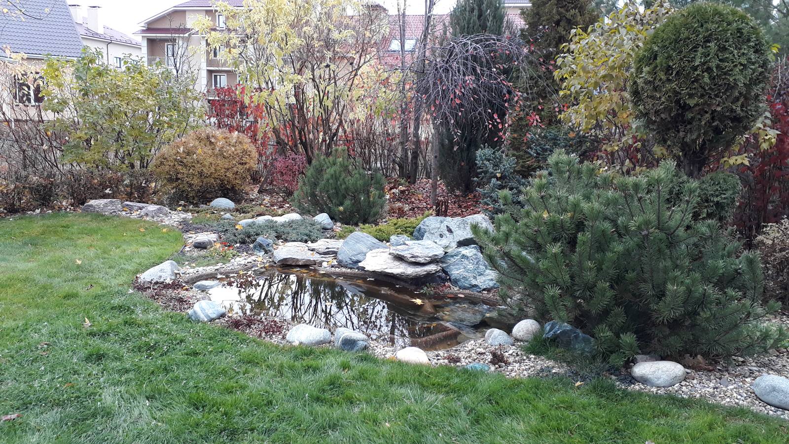 Мини-пруд Королев