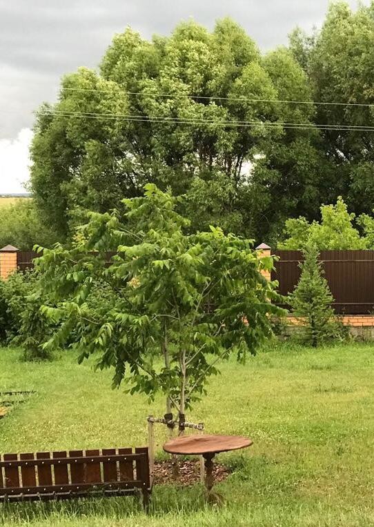 Проект недели: Пестрый сад в Рязанской области