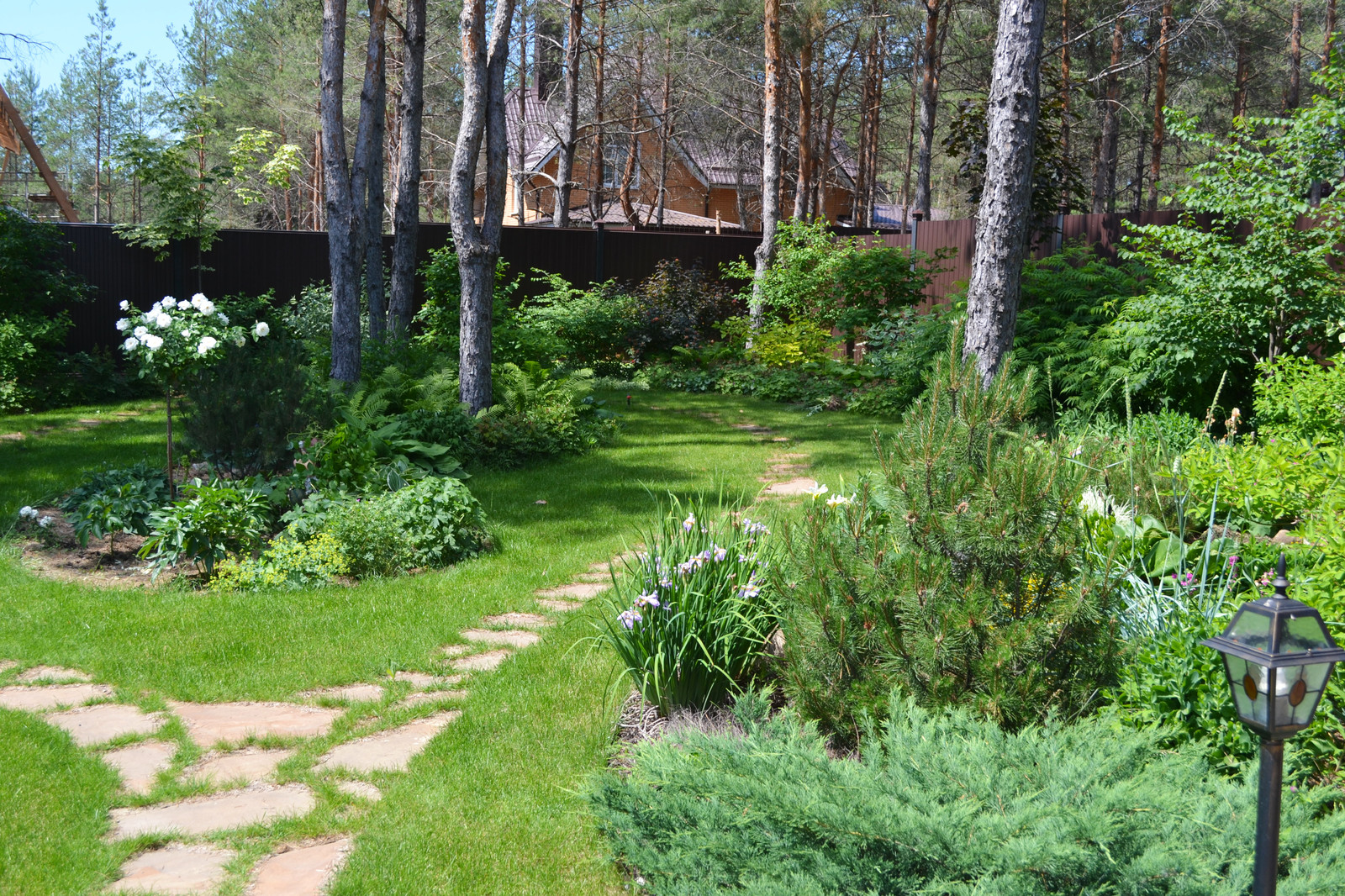 Фоновое изображение профиля Евгения Жеребцова