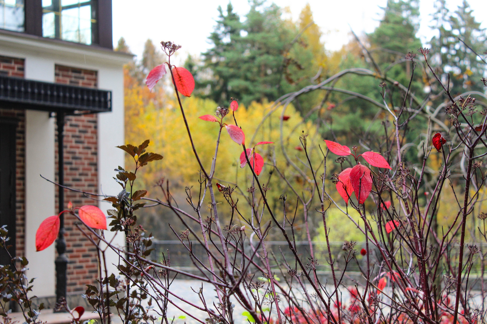 Обложка проекта: Генеральские дачи