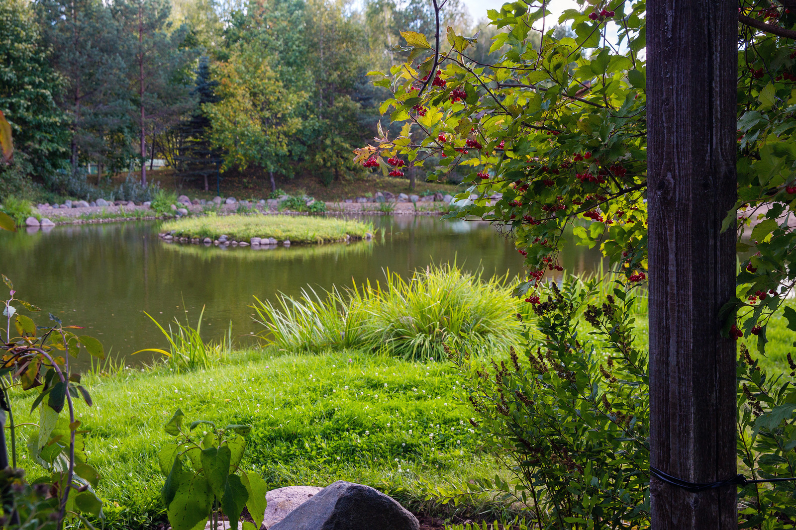 Парк в  Шаховском районе