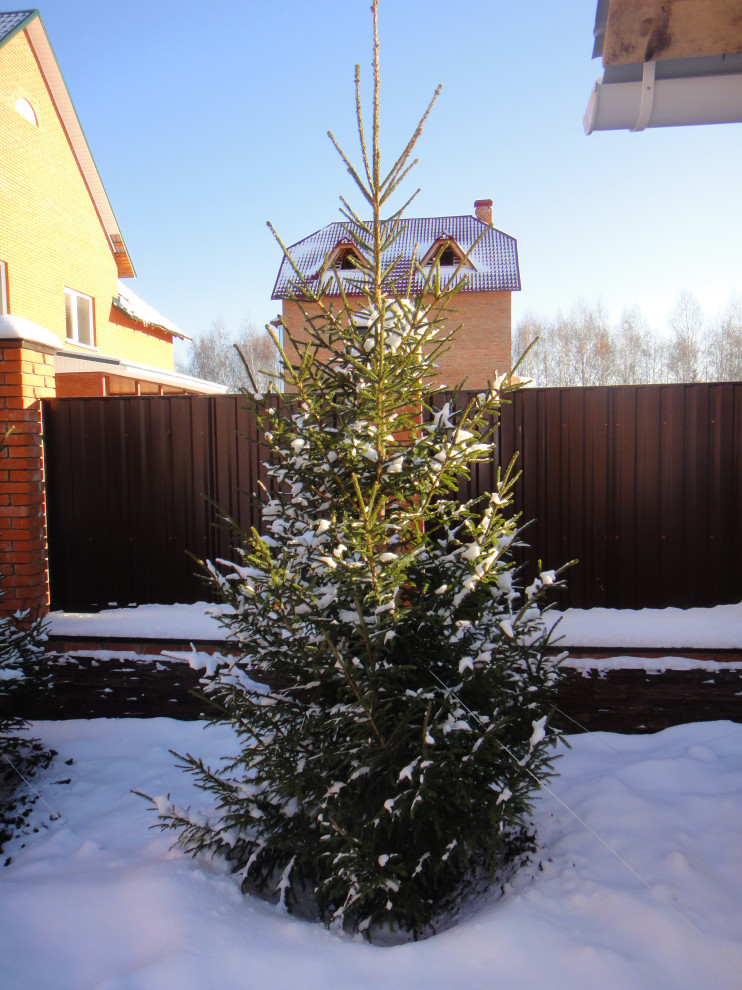 Ландшафтные работы и озеленение участка в Юрге