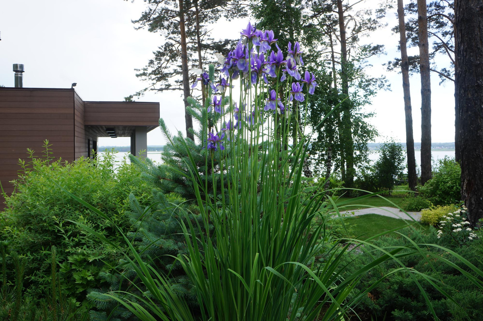 Геометрия в саду