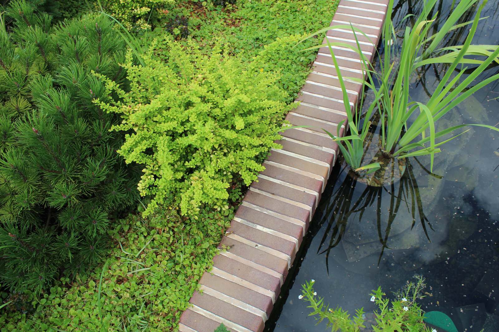 Фоновое изображение профиля Зелёные Просторы