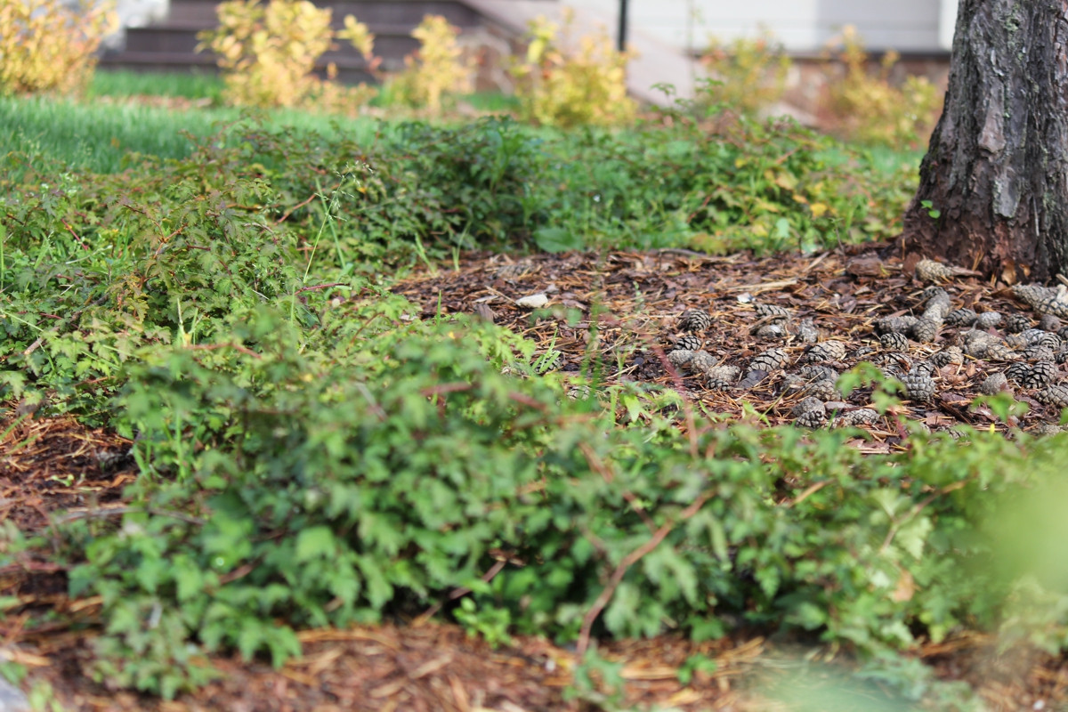 Фоновое изображение профиля Ксения Храмцова