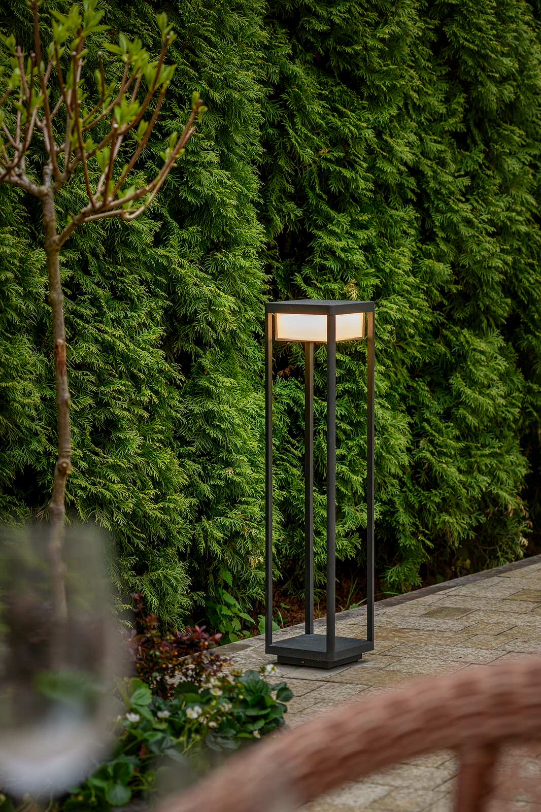 "На Дачу" к Татьяне Веденеевой