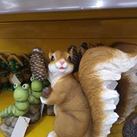 Сергей Давыдоа