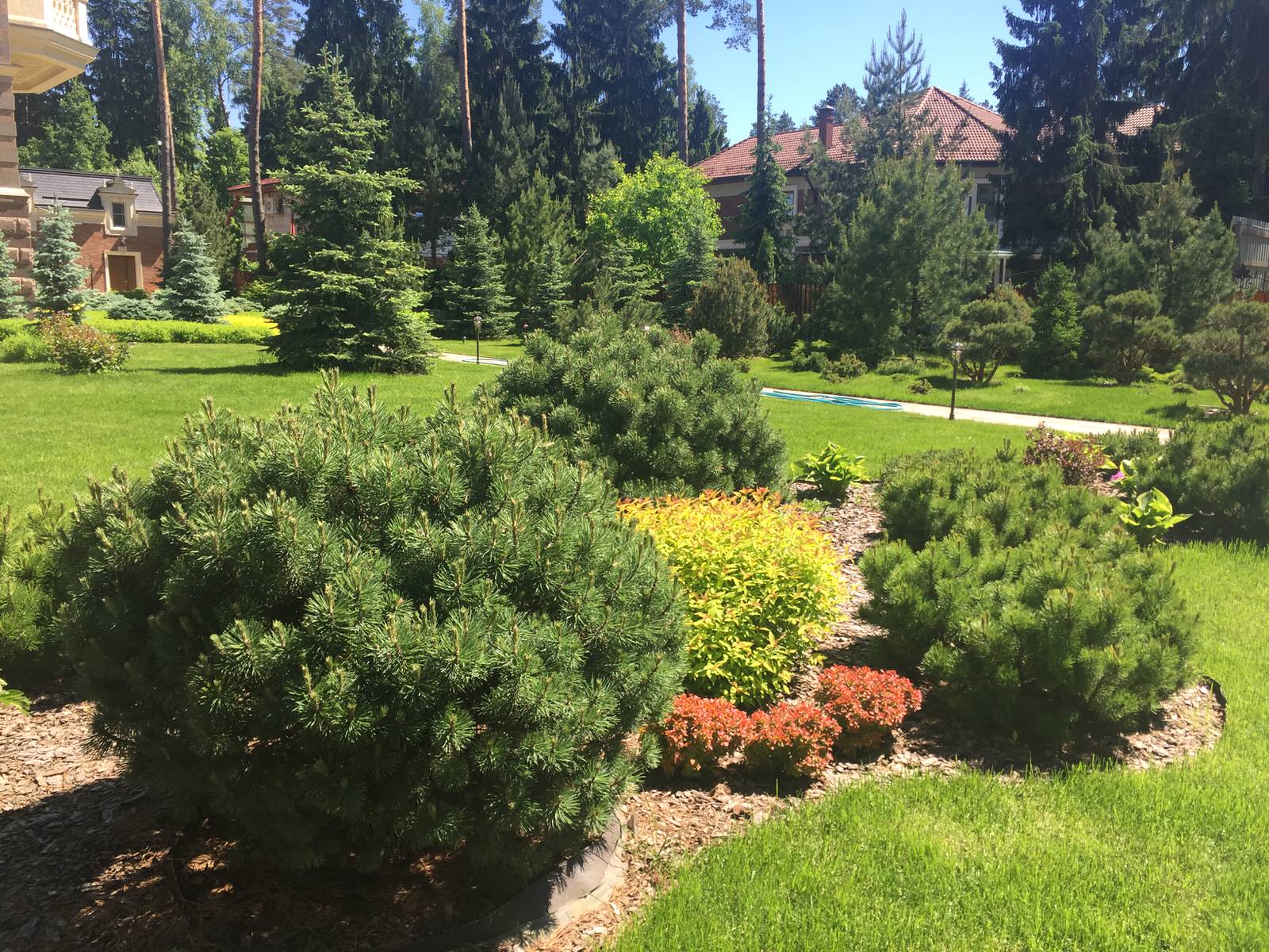 Сосновый Бор 2017.