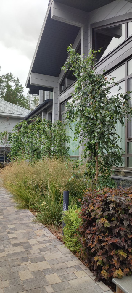 Обложка проекта: Дыхание севера