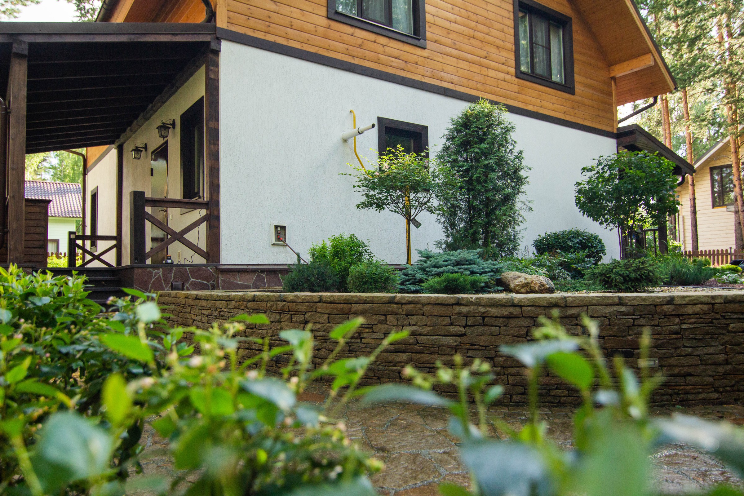 У леса на опушке