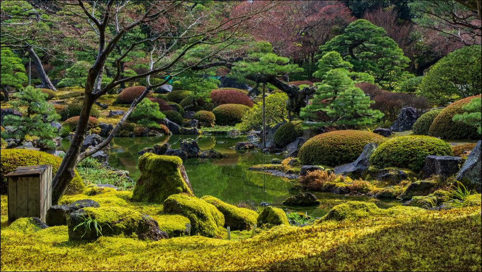 Тот самый Vadim A.